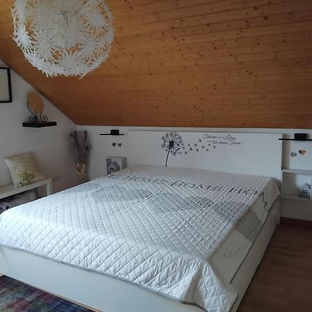 Ferienwohnung Monteurwohnung Pusteblume 杜德城 外观 照片