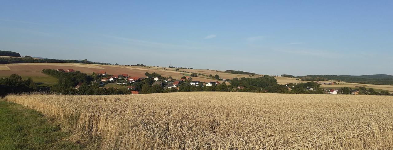 Ferienwohnung Monteurwohnung Pusteblume 杜德城 外观 照片